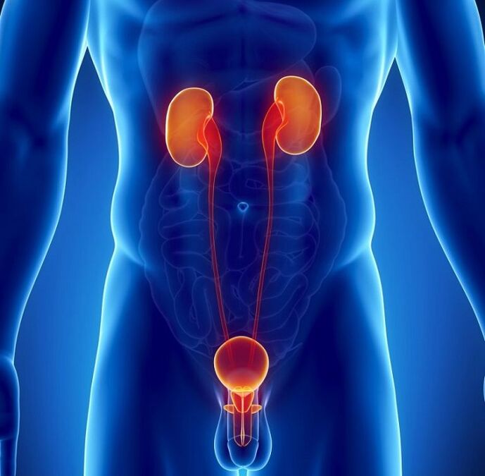 millised kroonilised haigused võivad mõjutada meeste potentsi